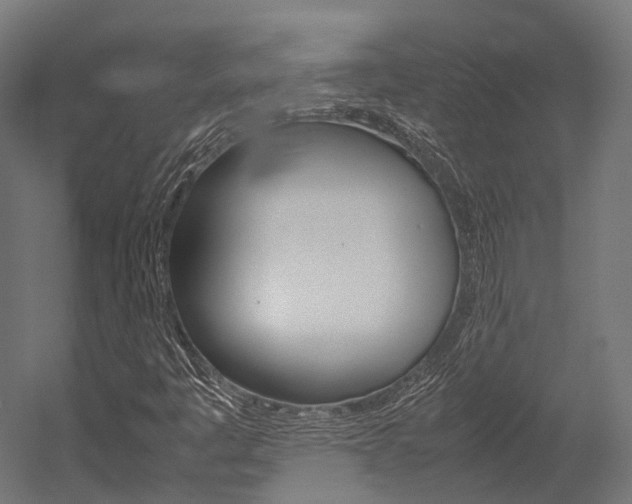 X0000054431445200507290939