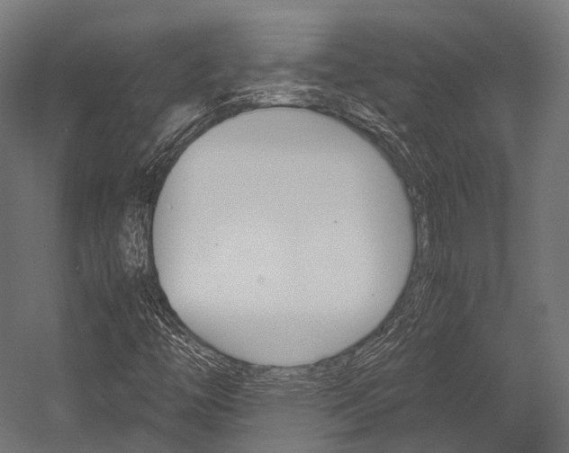X0000054431446200507290939