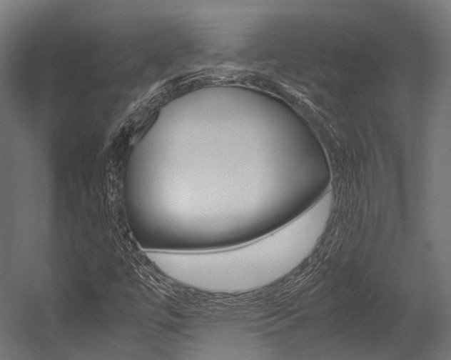 X0000054431447200507290939