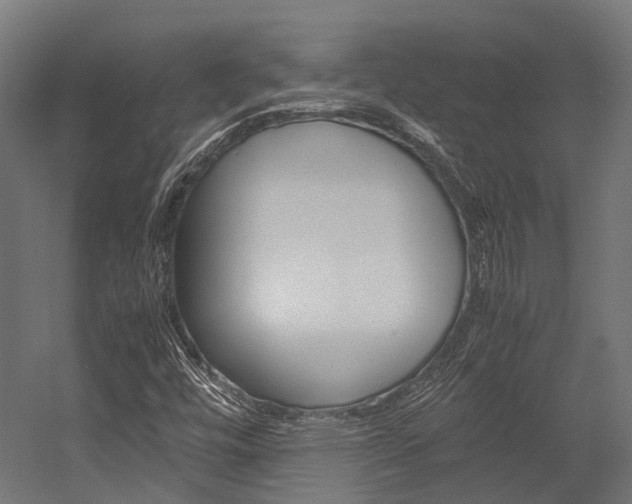 X0000054431448200507290939