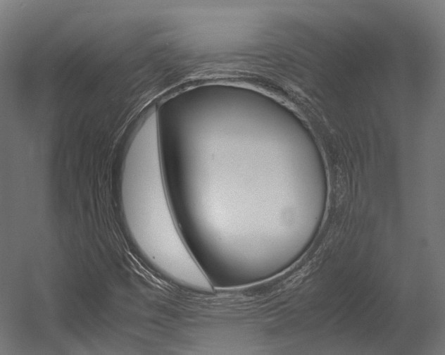 X0000054431449200507290939