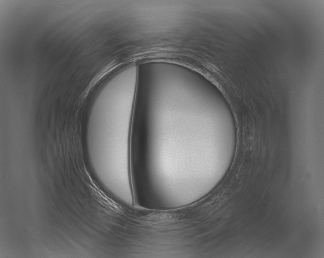 X0000054431450200507290939
