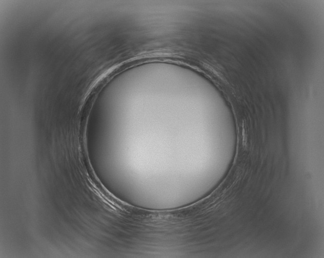 X0000054431452200507290939