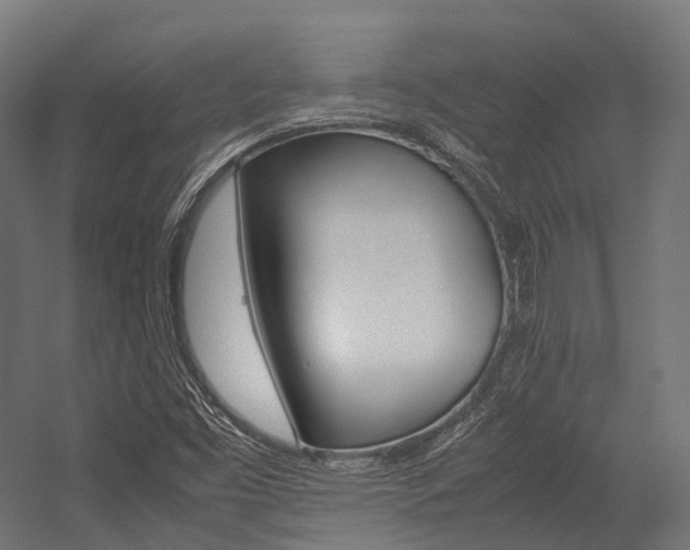 X0000054431453200507290939