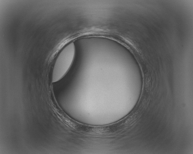 X0000054431455200507290939
