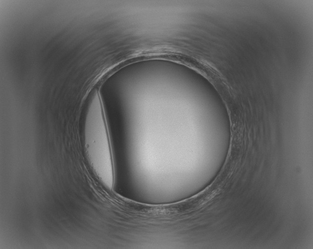 X0000054431457200507290939