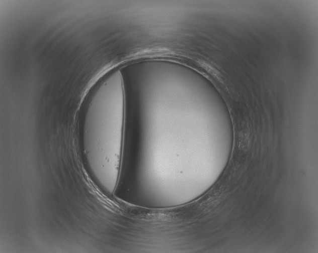 X0000054431458200507290939