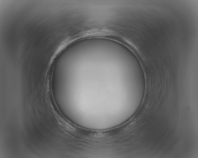 X0000054431459200507290939