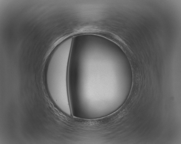 X0000054431461200507290939