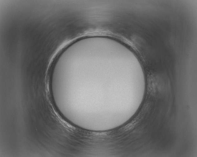 X0000054431462200507290939