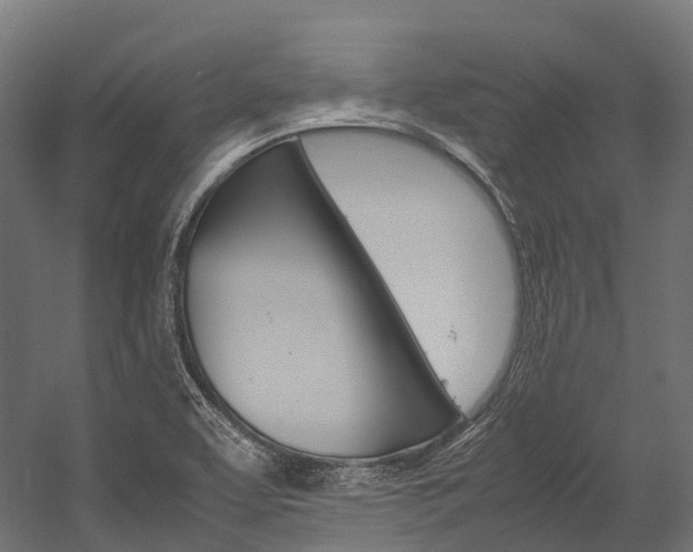 X0000054431463200507290939