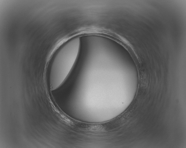 X0000054431464200507290939