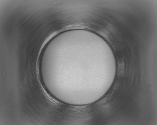 X0000054431466200507290939