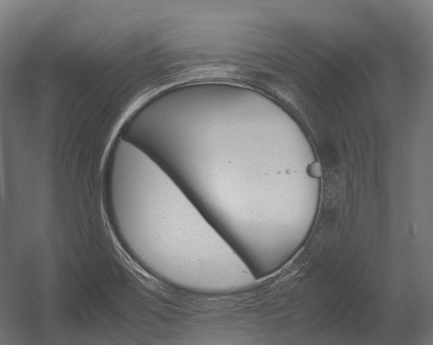 X0000054431467200507290939
