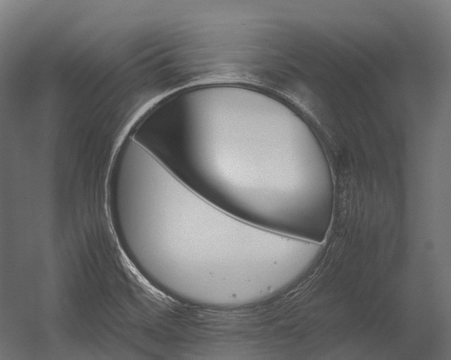 X0000054431468200507290939