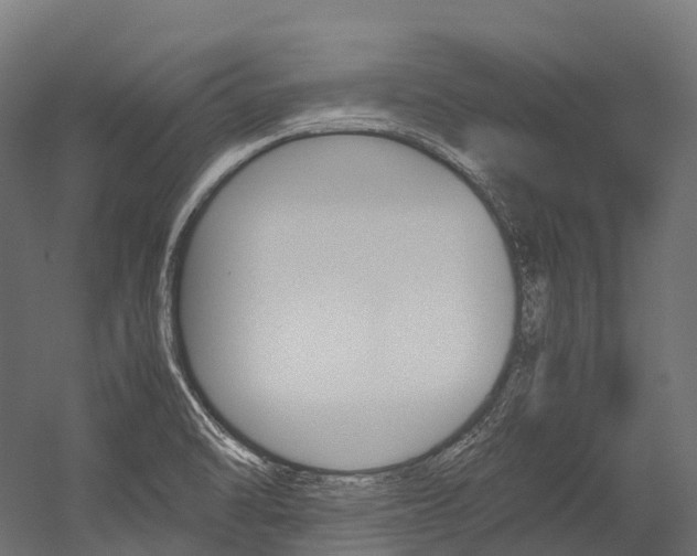 X0000054431470200507290939