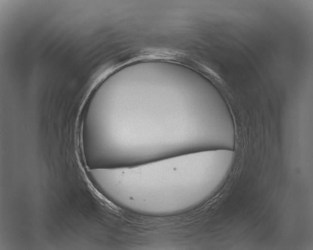 X0000054431471200507290939