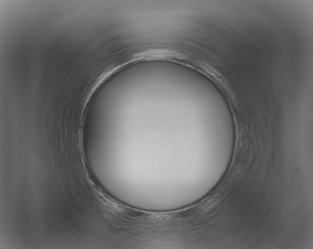 X0000054431473200507290939
