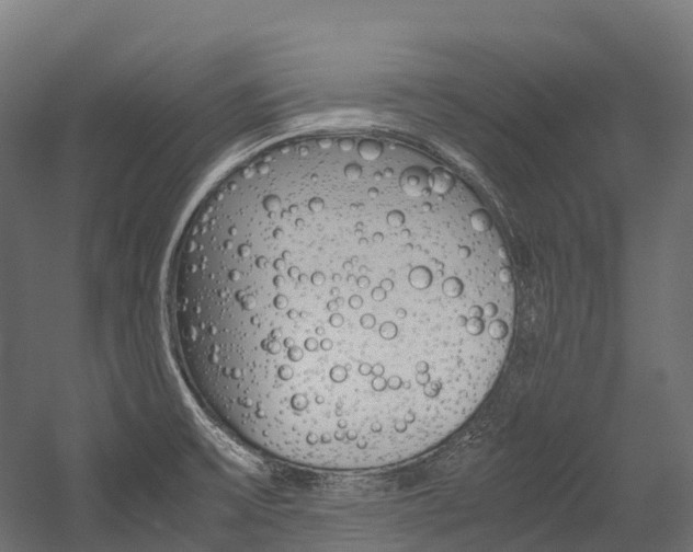 X0000054431475200507290939