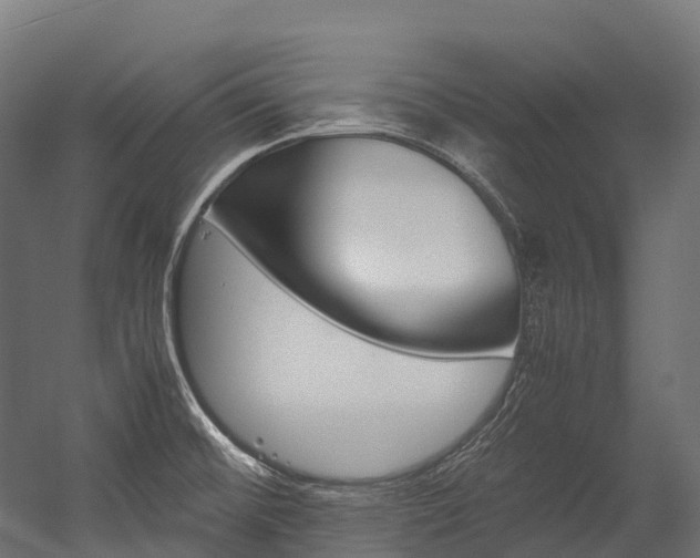 X0000054431476200507290939