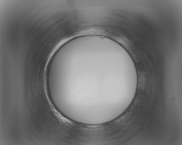 X0000054431478200507290939