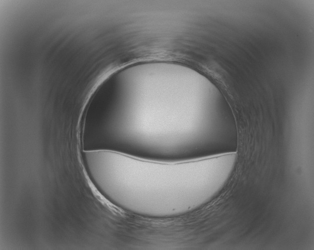X0000054431479200507290939