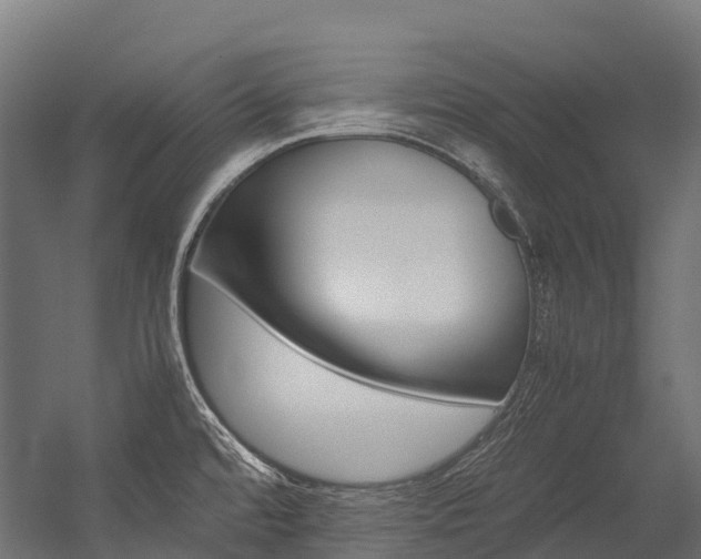 X0000054431480200507290939