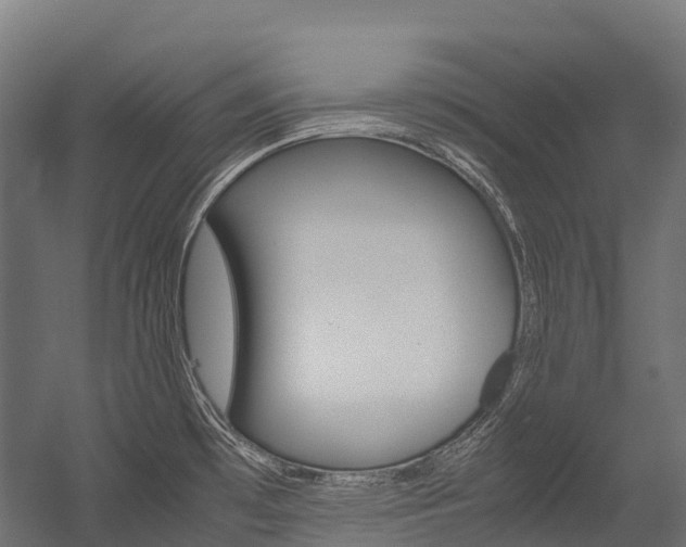 X0000054431481200507290939
