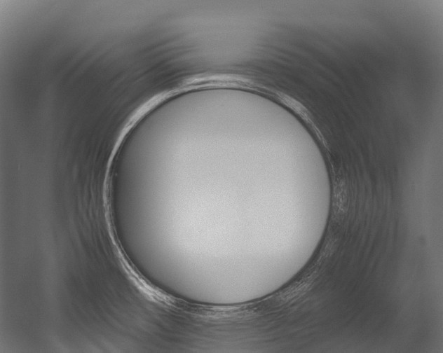 X0000054431482200507290939