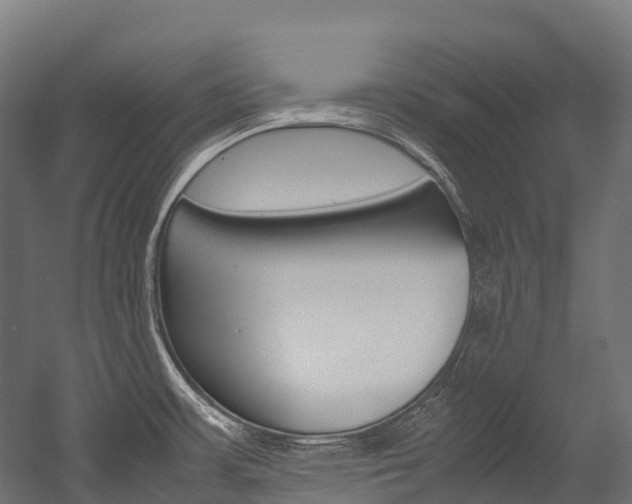 X0000054431483200507290939