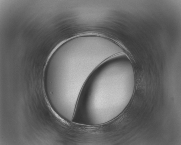 X0000054431484200507290939