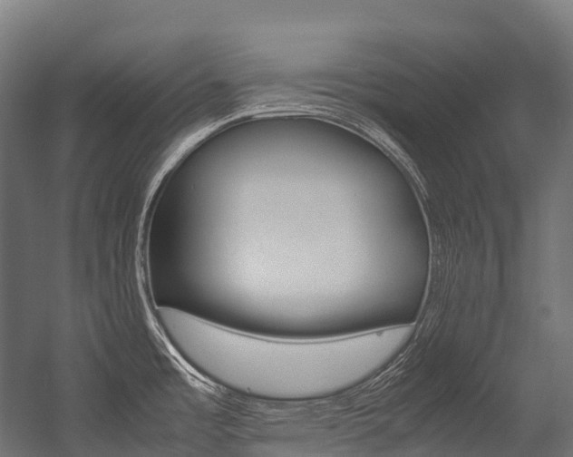 X0000054431485200507290939