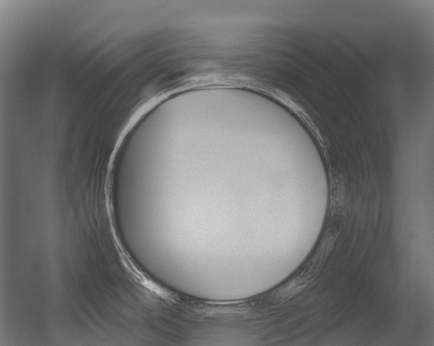 X0000054431486200507290939