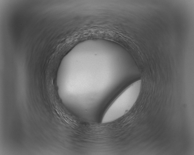 X0000054431489200507290938