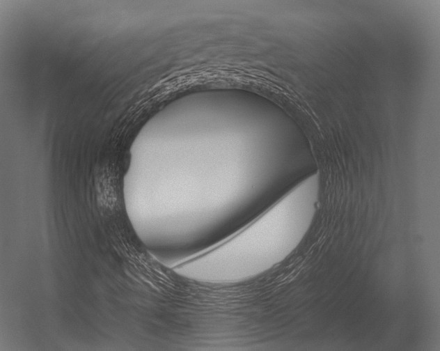 X0000054431490200507290938