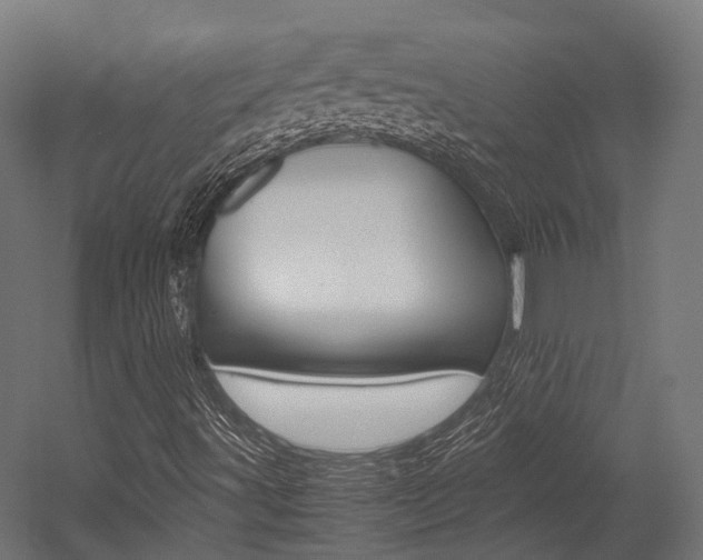 X0000054431491200507290938