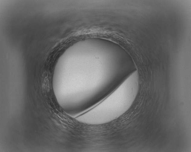 X0000054431493200507290938