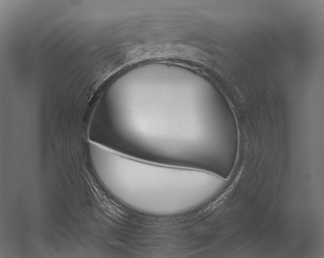 X0000054431497200507290938
