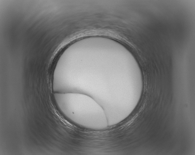 X0000054431498200507290938
