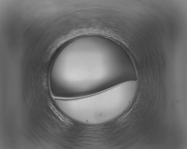 X0000054431499200507290938