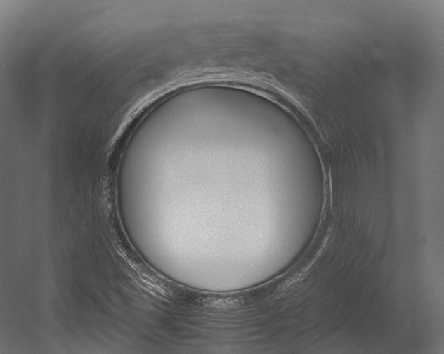 X0000054431501200507290938