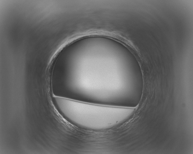 X0000054431504200507290938