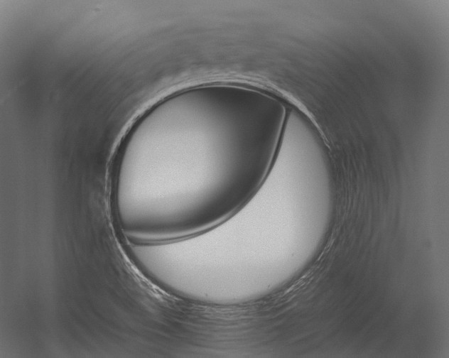 X0000054431508200507290938