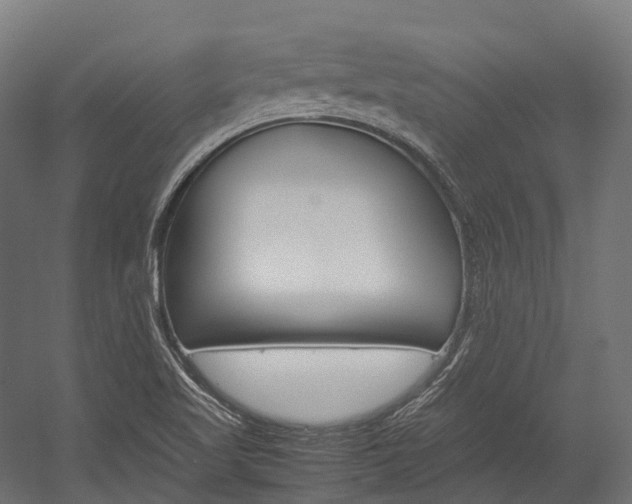 X0000054431509200507290938