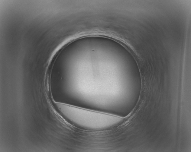 X0000054431510200507290938