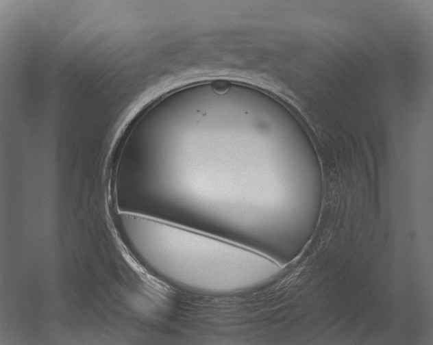 X0000054431511200507290938