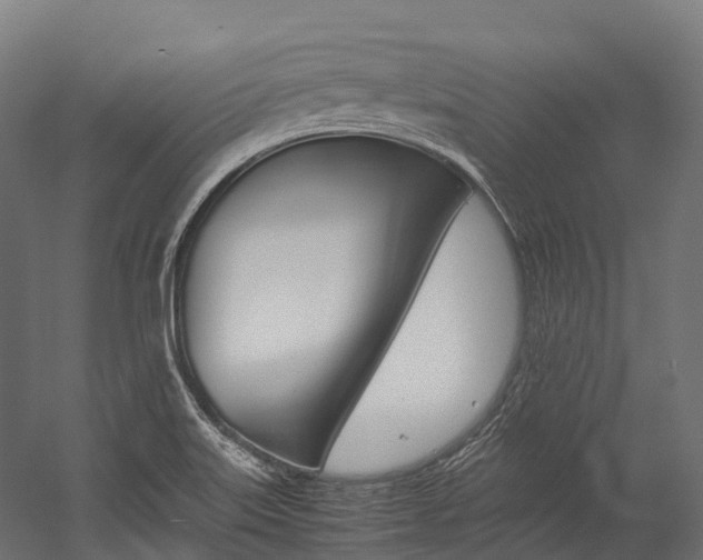 X0000054431515200507290938