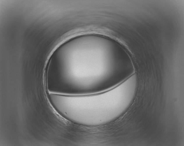 X0000054431516200507290938