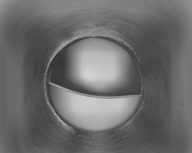 X0000054431517200507290938