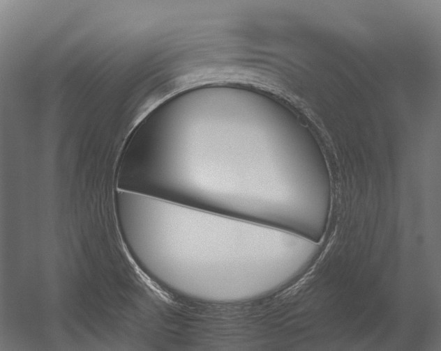 X0000054431521200507290938